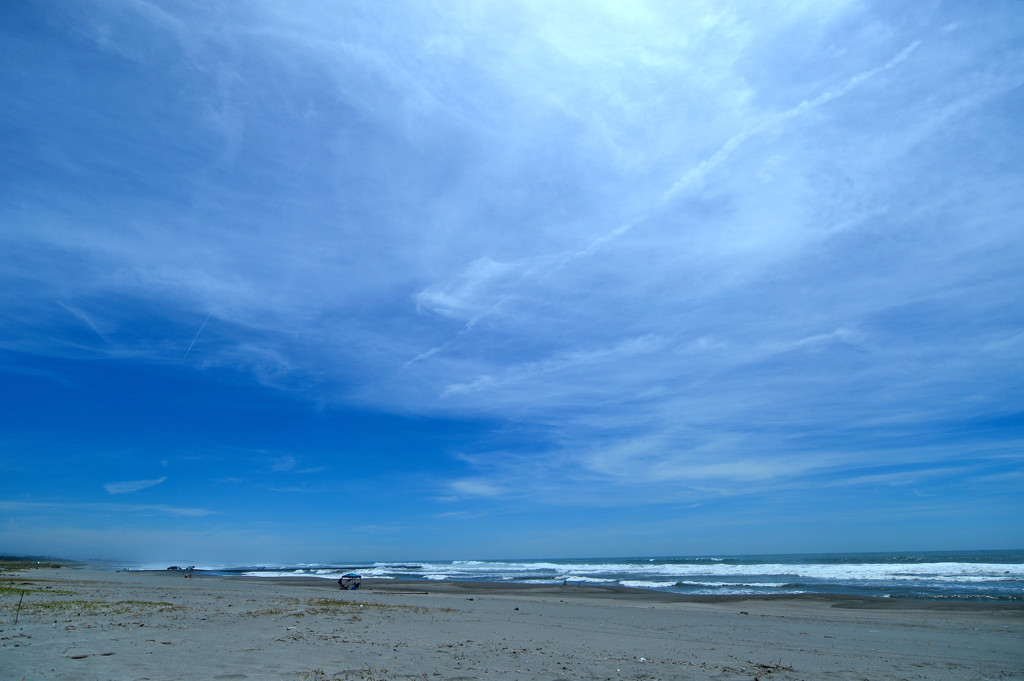 今日の海