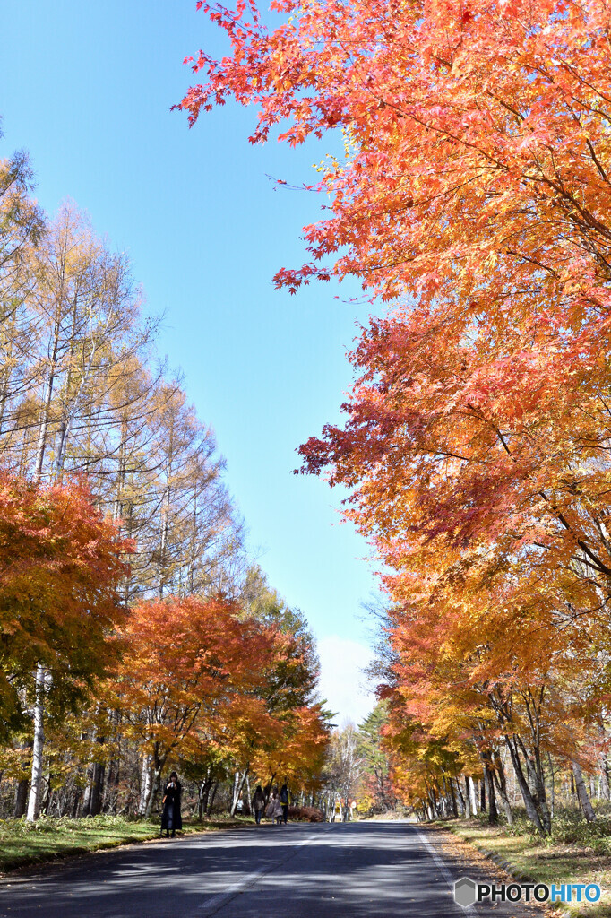 山へ行こう♪