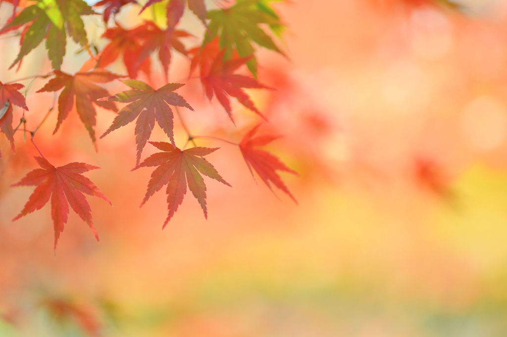 想い出づくり
