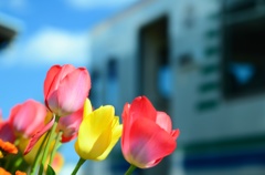 お花の駅♪