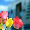 お花の駅♪