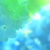 水色の恋