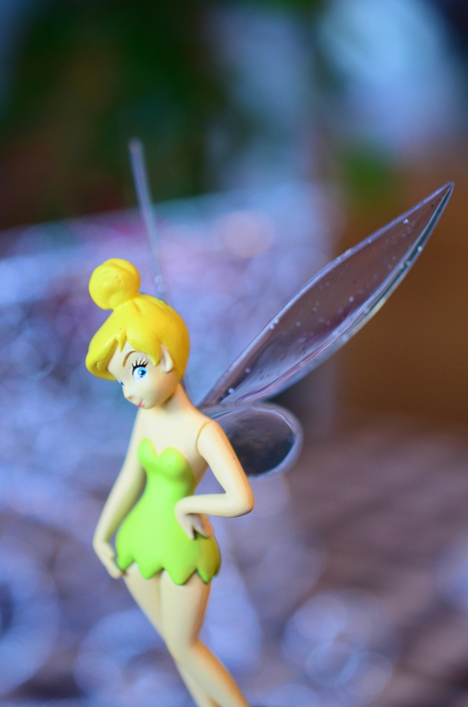 妖精現わる♪