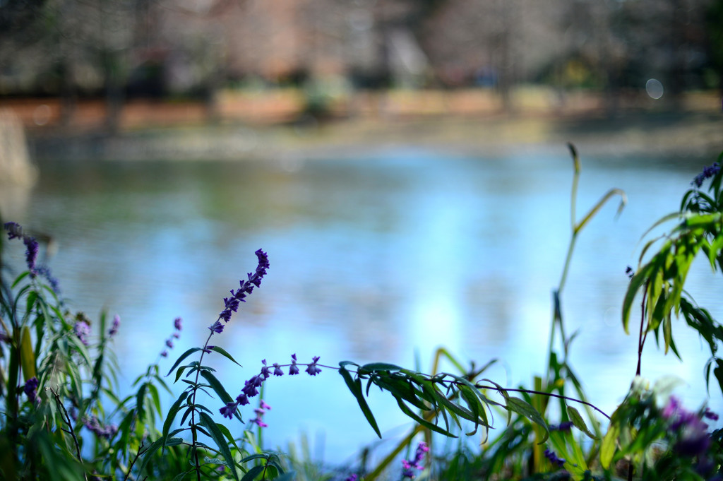 冬の公園はさみしくて