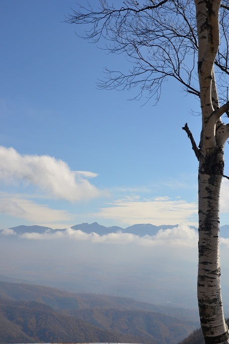 雲の上の八ヶ岳