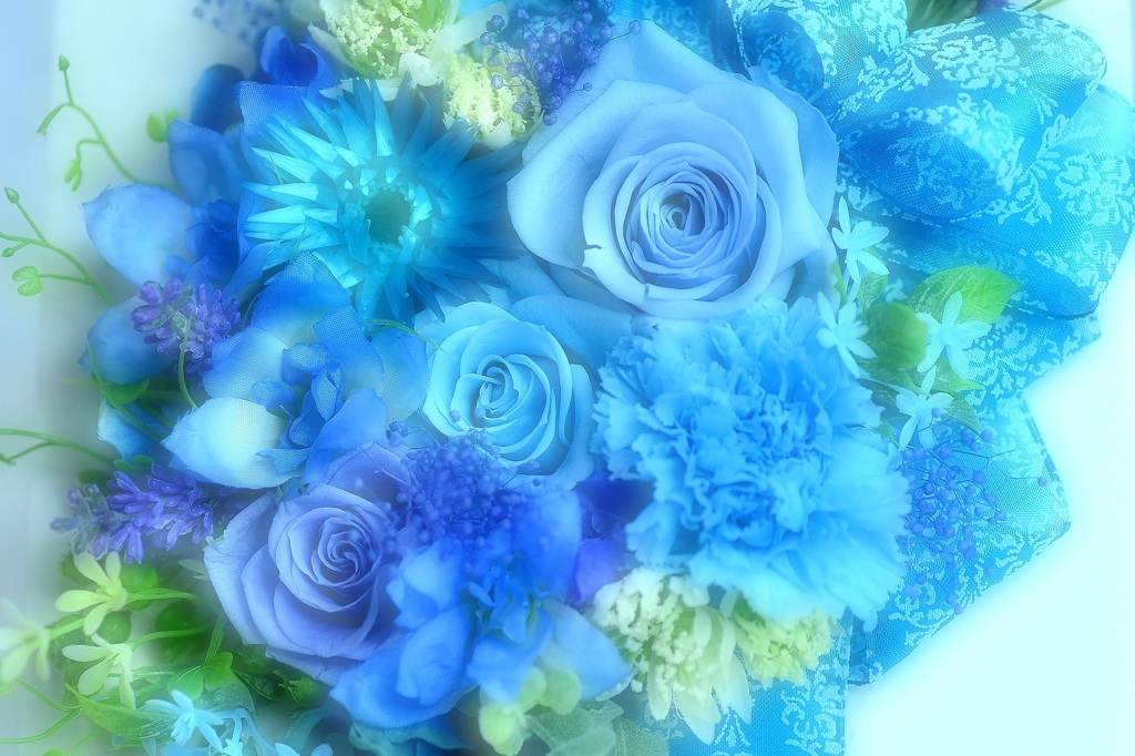 Sweet Blue Rose