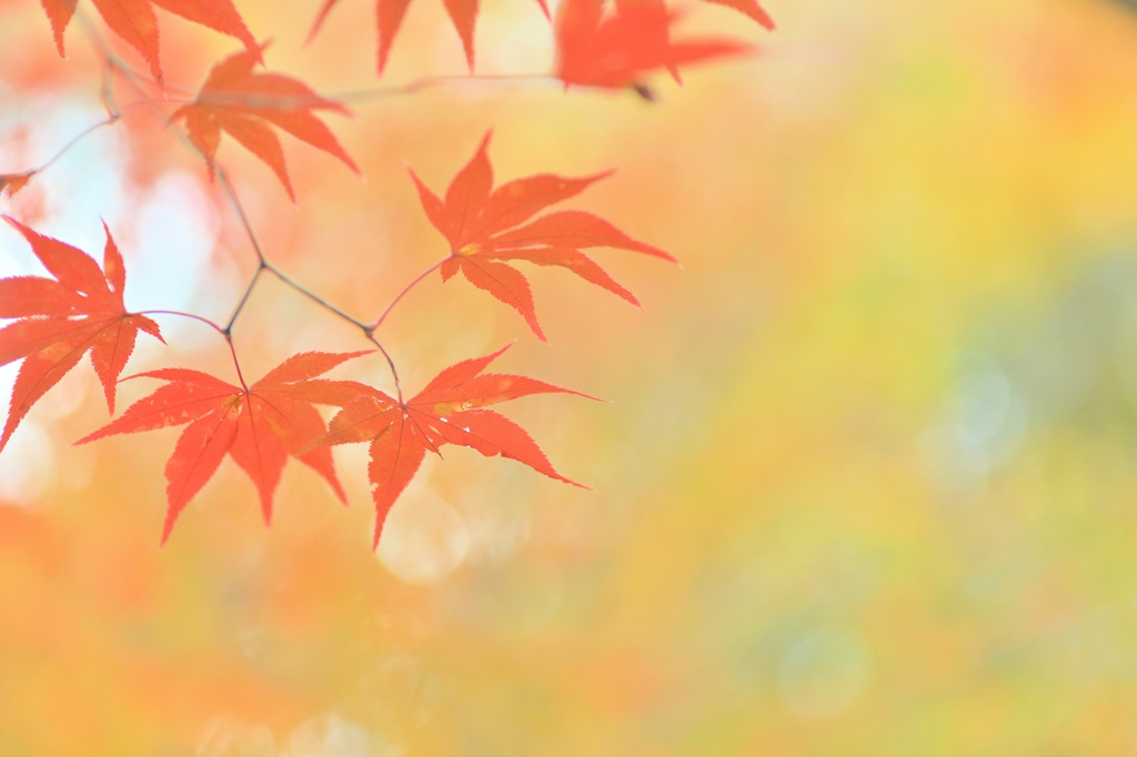 あたたかな出逢い