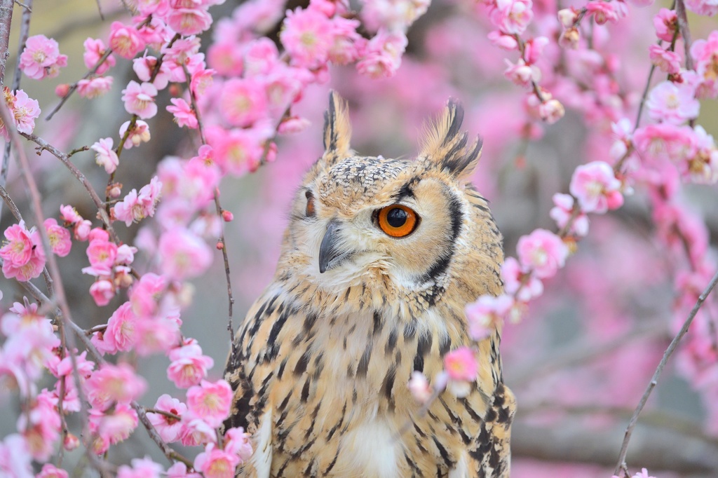 春の再会♪