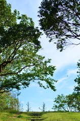丘の上の公園