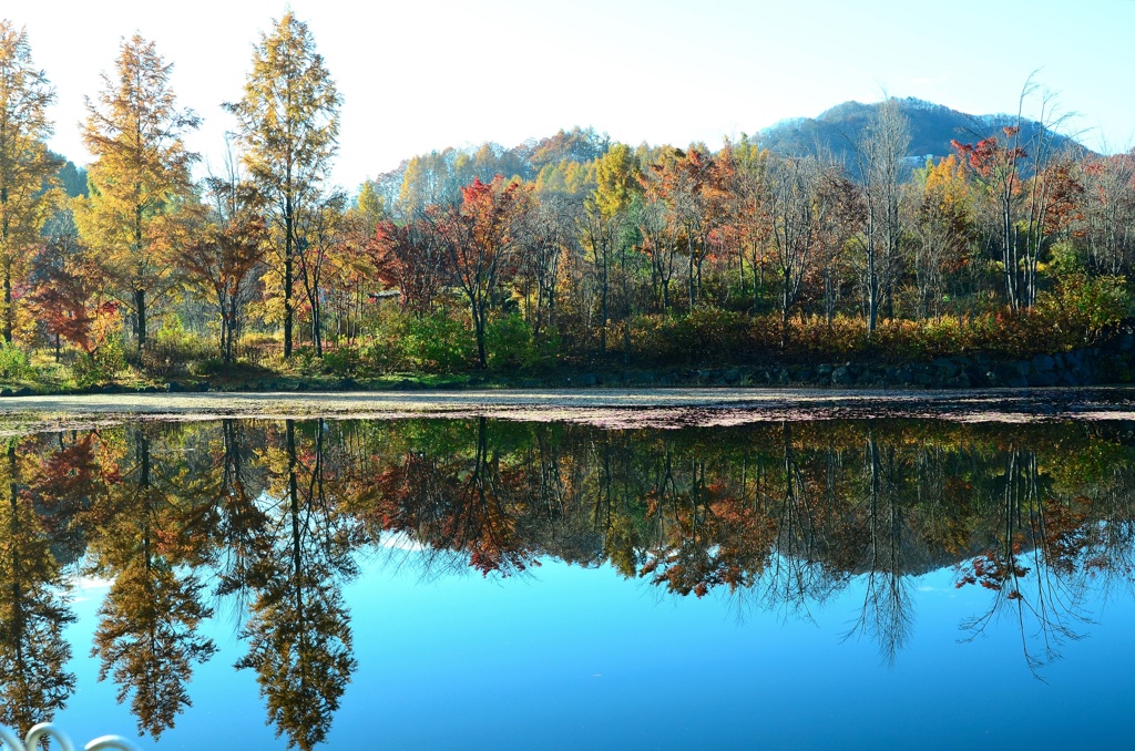 レイクガーデンの朝