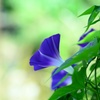 秋の風が吹く頃