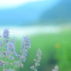 blue moment