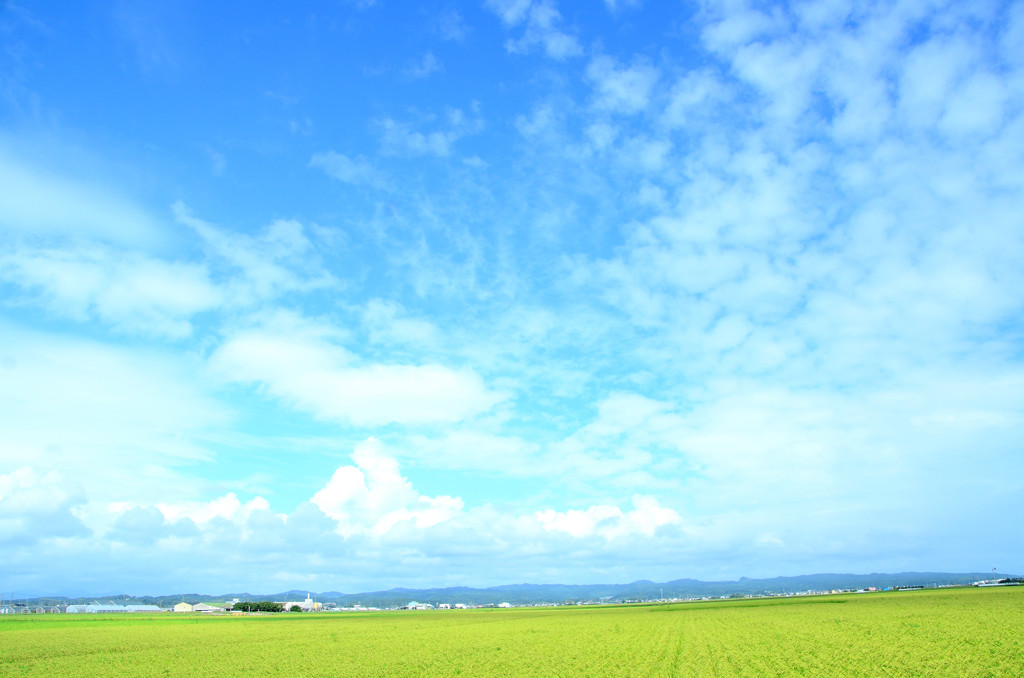 夏と秋の間