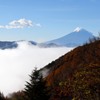 秋の贈り物