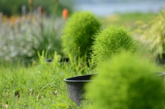 緑濃淡