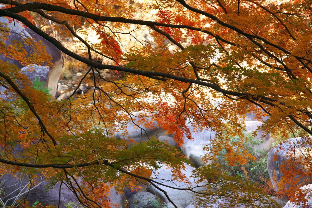 昇仙峡紅葉