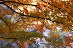 昇仙峡紅葉