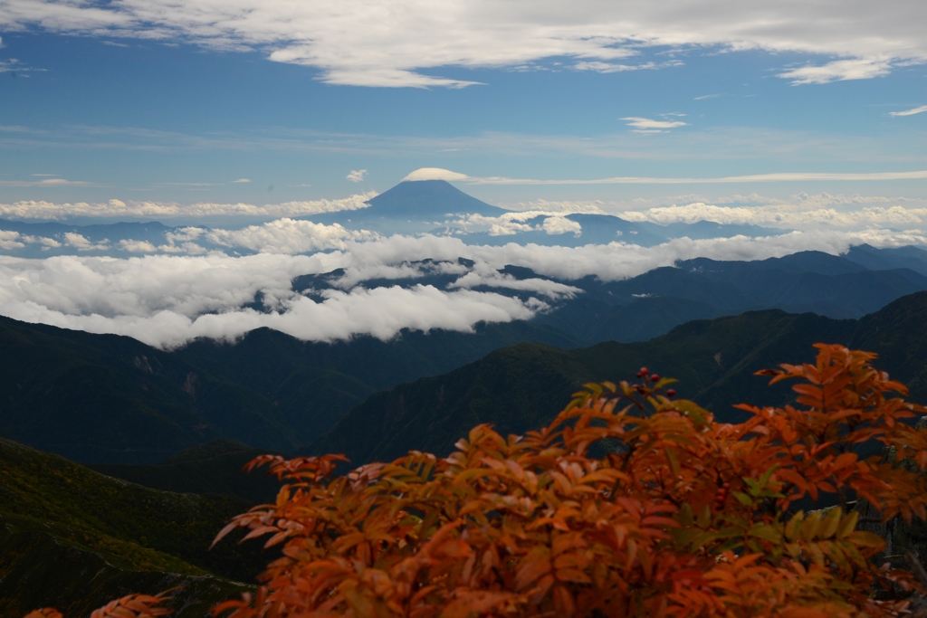 3000mナナカマドと富士