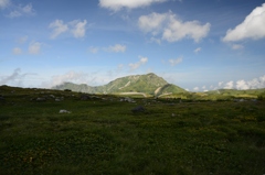 DSC_5307_R