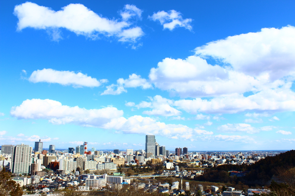 仙台city