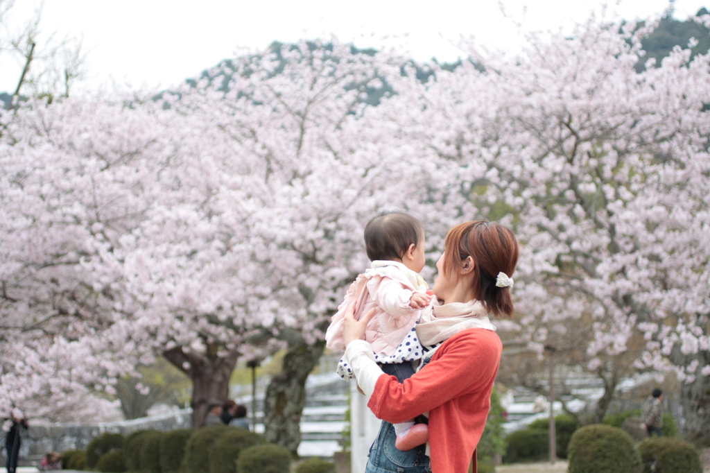 生まれてはじめてのお花見♪
