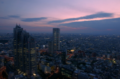 都庁の夕景