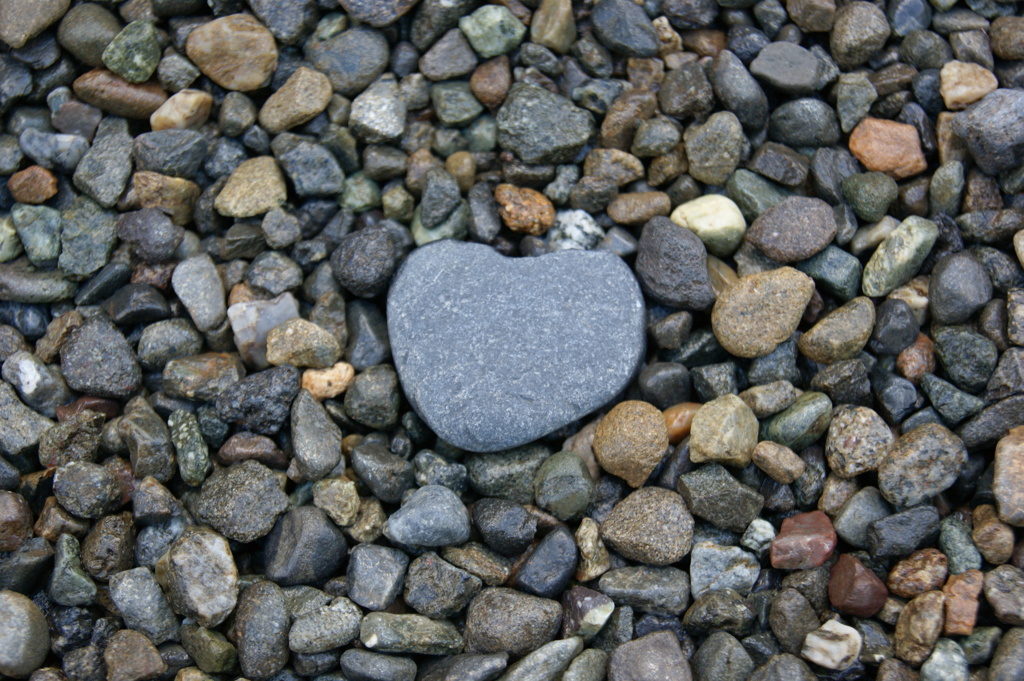 The heart of a stone 