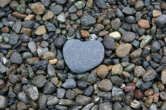 The heart of a stone 