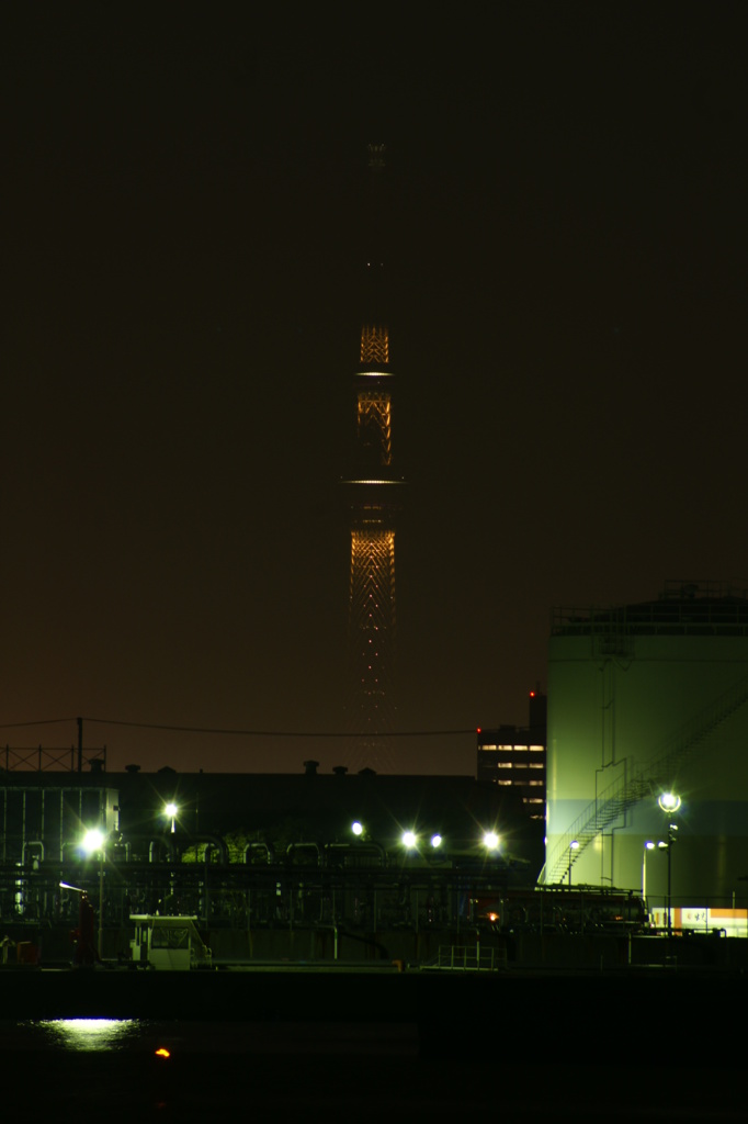TokyoSkyTree 