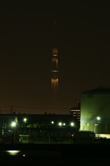 TokyoSkyTree 