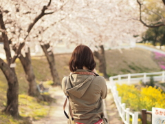 「桜撮影会」