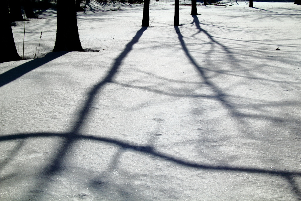 雪景図