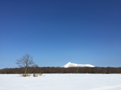 じゅんさい沼から望む駒ケ岳