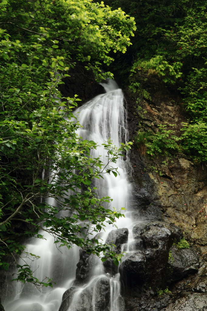 三味線滝