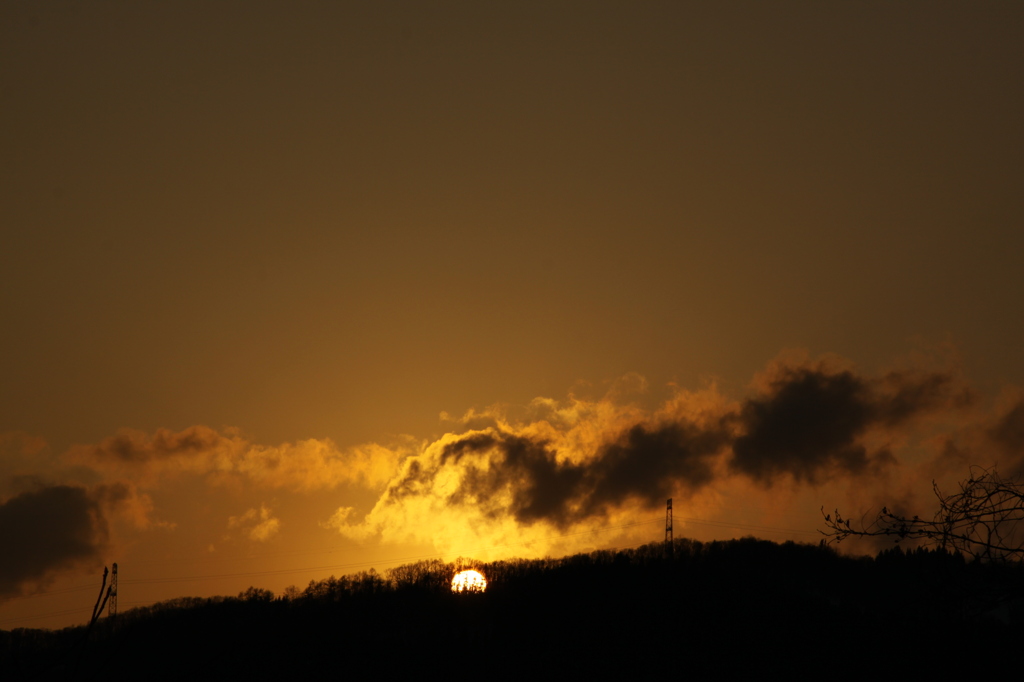 木々の隙間から沈む夕陽