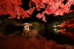 赤い屋根の下