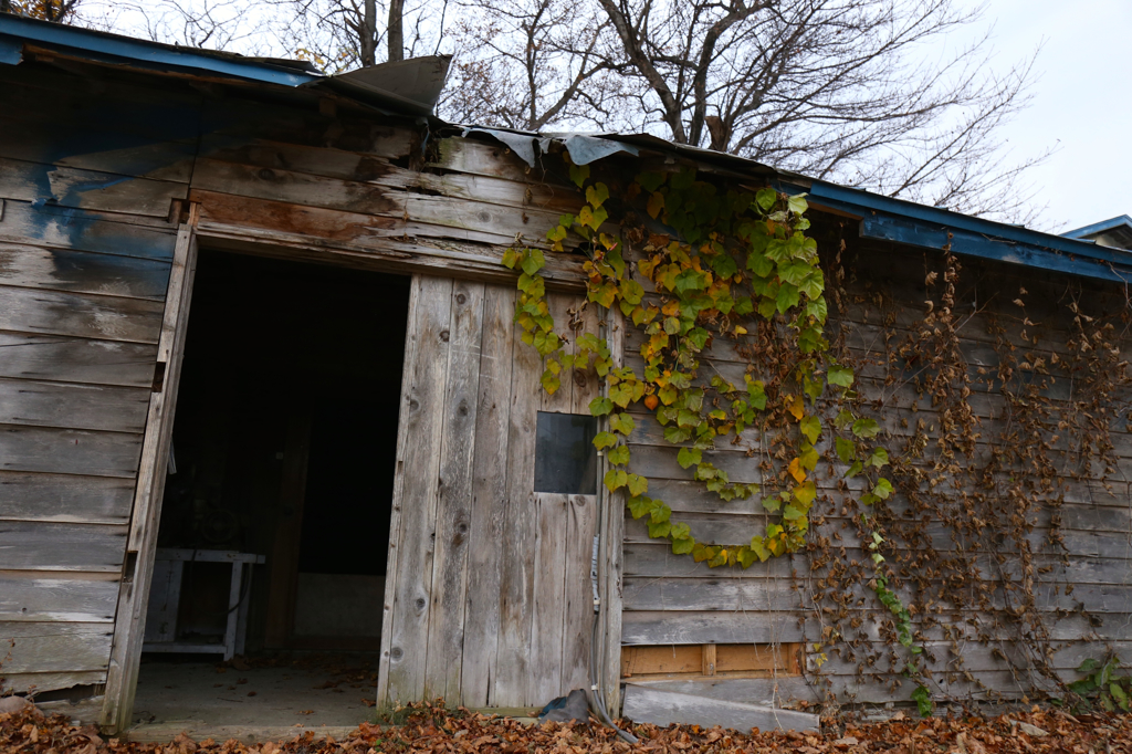 古い農作業小屋−5