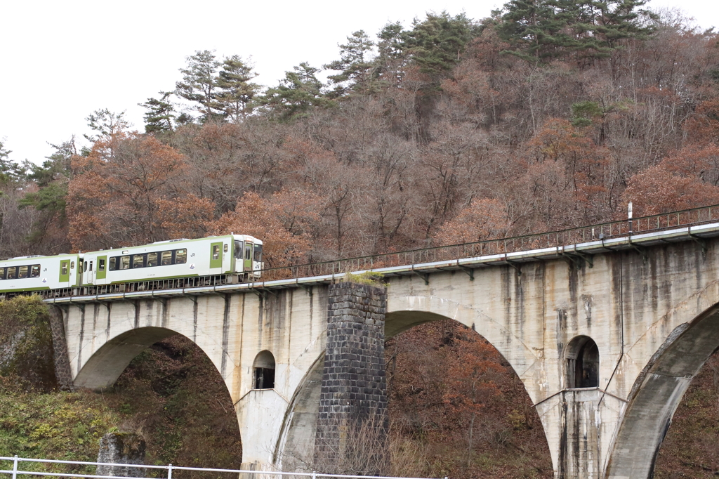 列車の中から見られてた！