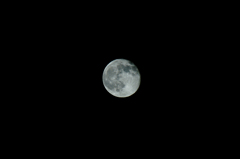 今夜のお月さま