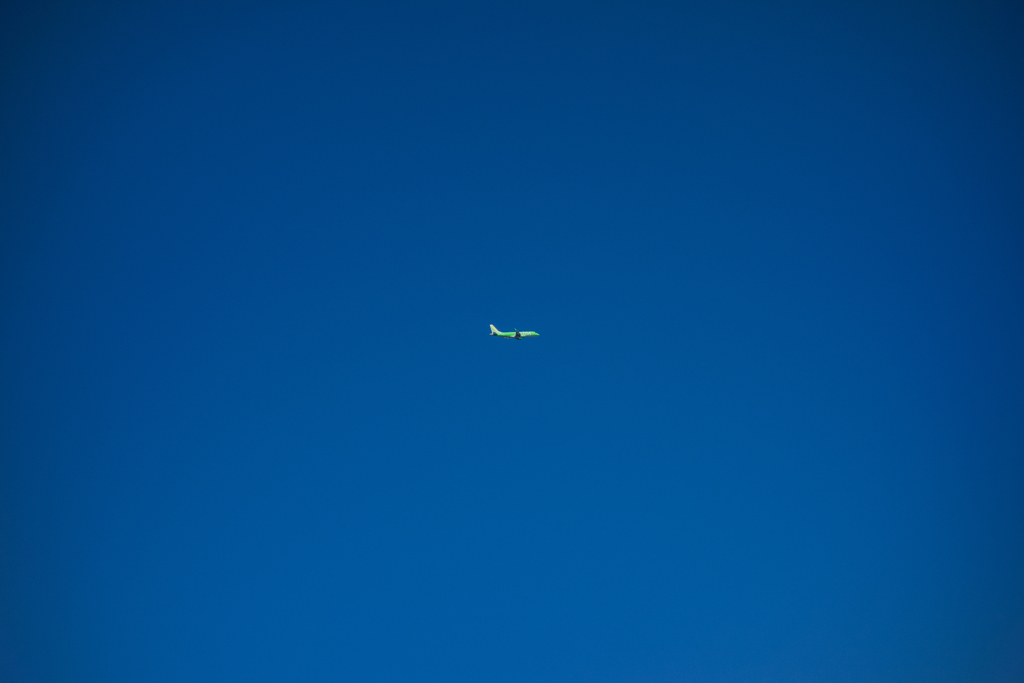 南へ向かって飛ぶ