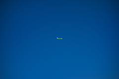 南へ向かって飛ぶ