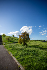 盛岡中央公園１