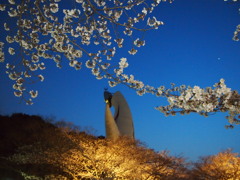 女神は２度微笑む