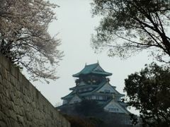 DSCF1651