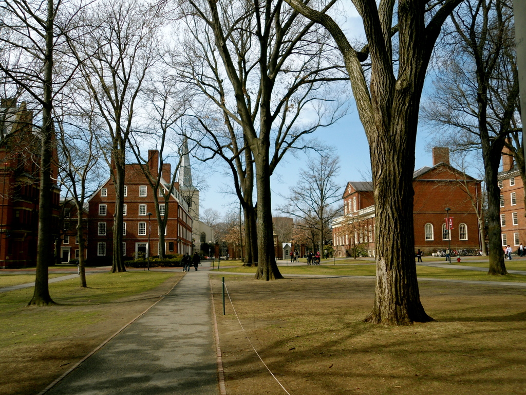 Harvard University