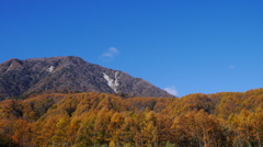 山の秋
