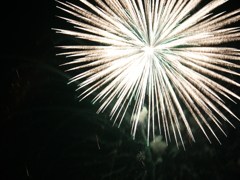 花火　2012
