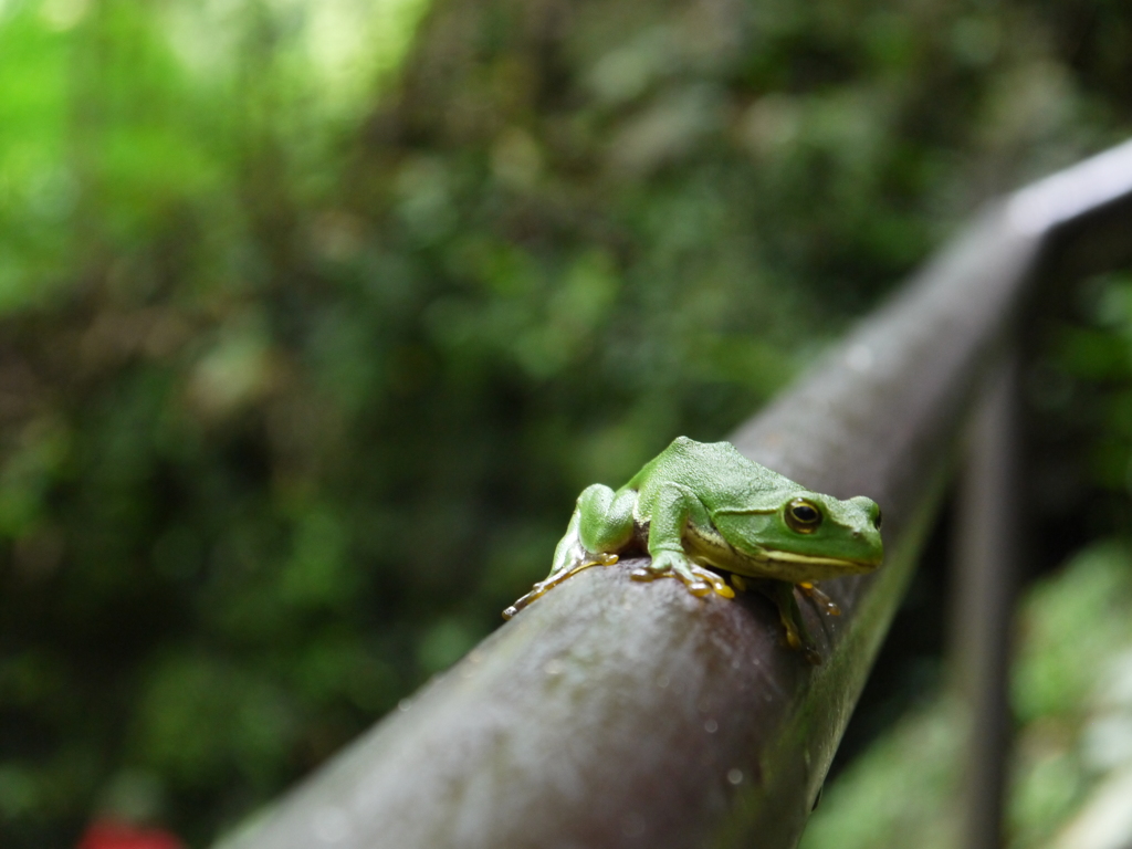 せんりゅう。。ｐ2