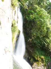 マイナスイオン　　とどけ・・。 R