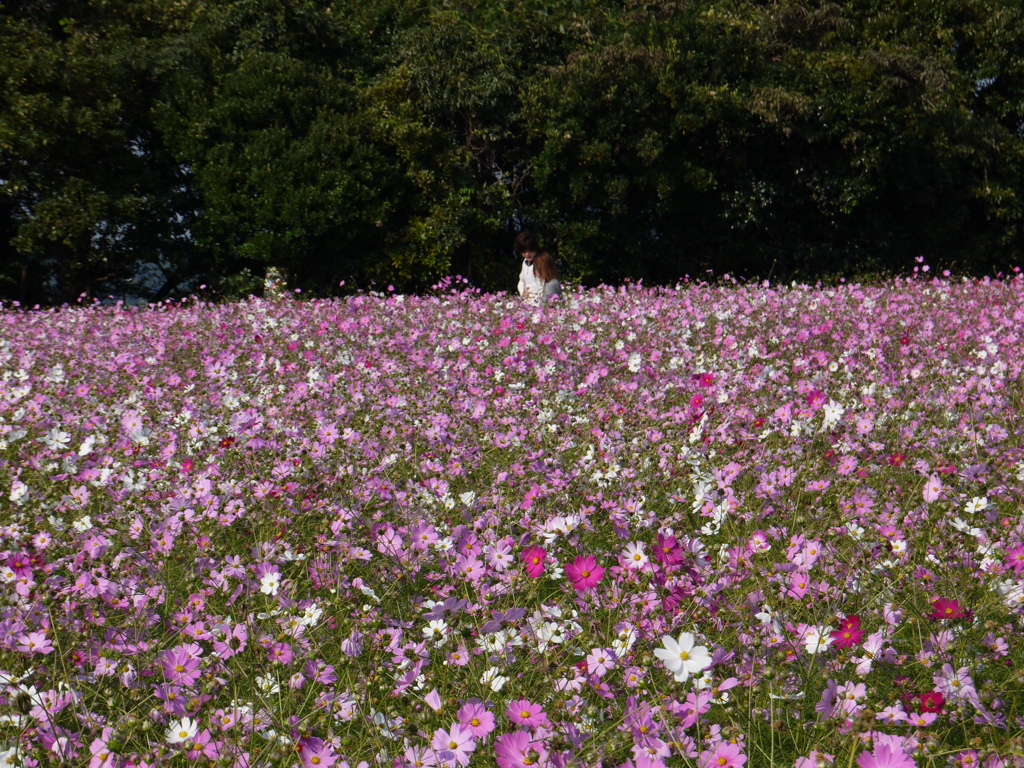 楽しそうな二人